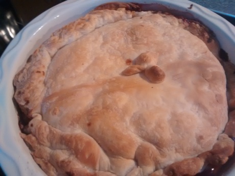 A slightly suspicious looking pie (cooked by me yet I was not even tempted)